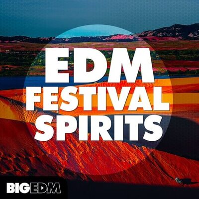 EDM Festival Spirits