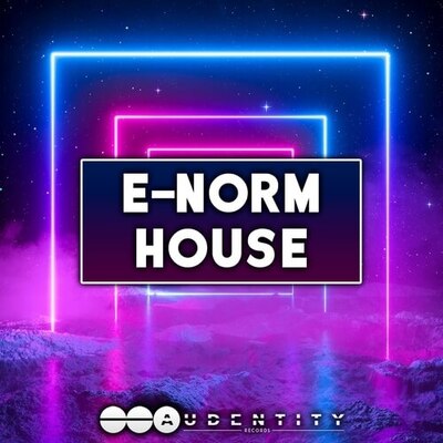 E-Norm House