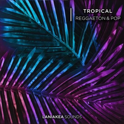 Tropical Reggaeton & Pop