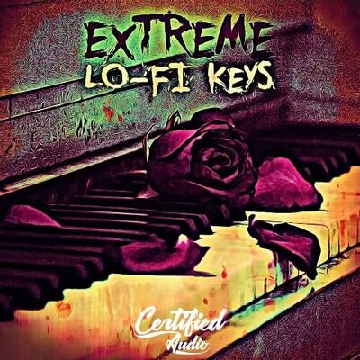 Extreme Lo-Fi Keys