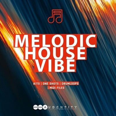 Melodic House Vibe