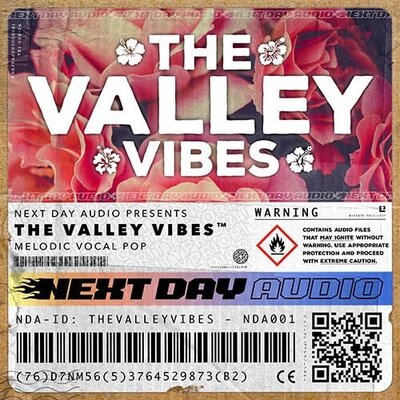 The Valley Vibes - Uplifting Vocal Anthems