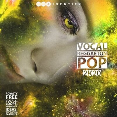 Vocal Reggaeton Pop 2k20