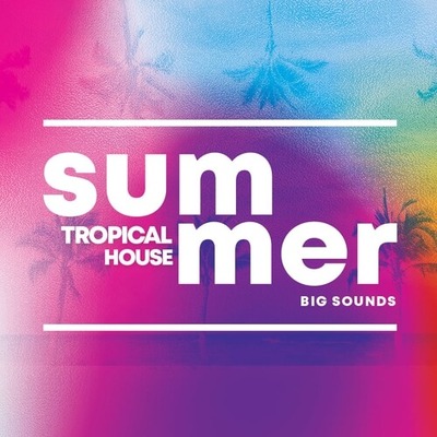 Summer Tropical House