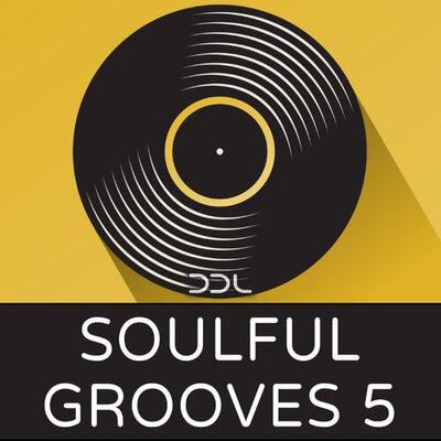 Soulful Grooves 5