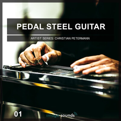 Pedal Steel Guitar 1