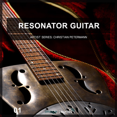 Resonator Guitar 1