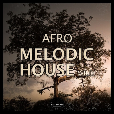 Afro Melodic Wild