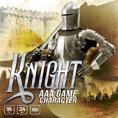 AAA Game Character Knight
