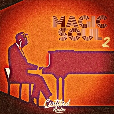 Magic Soul 2