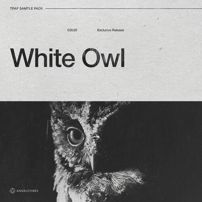 White Owl - Drum Kit