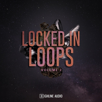 Locked in Loops Vol 2