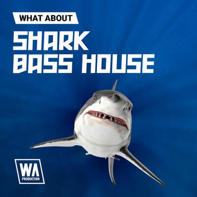What About: Shark Bass House