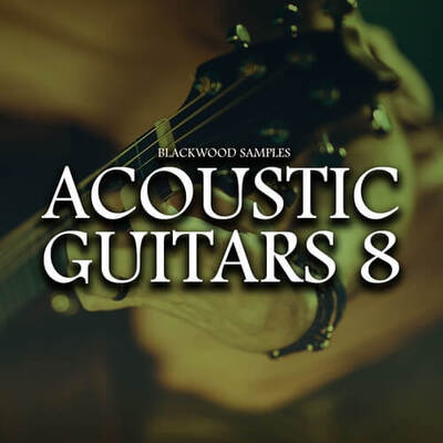 Acoustic Guitars 8