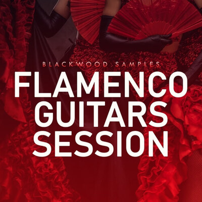 Flamenco Guitar Session