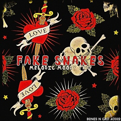 Fake Snakes: Melodic Moody Trap