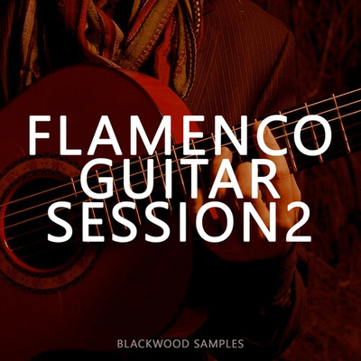 Flamenco Guitar Session 2