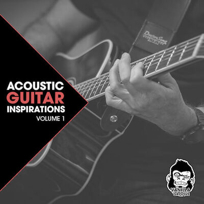 Acoustic Guitar Inspirations Vol 1