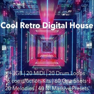 Cool Retro Digital House