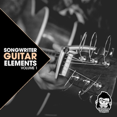 Songwriter Guitar Elements Vol 1