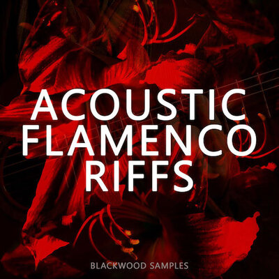Acoustic Flamenco Riffs