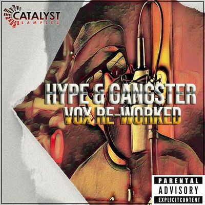 Hype & Gangster Vox Re-Worked