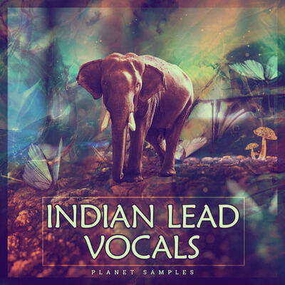 Indian Lead Vocals