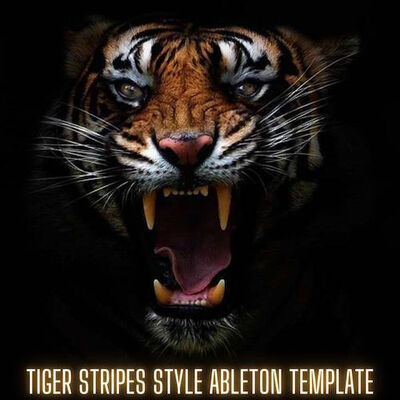Tiger Stripes Style Ableton Live Template