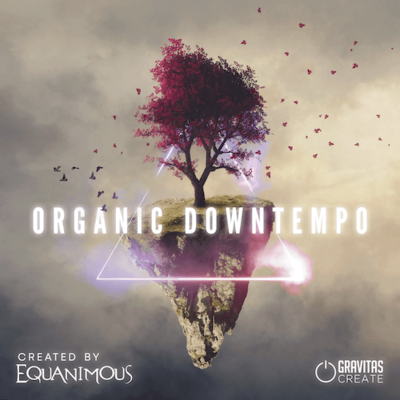 Organic Downtempo - Create by Equanimous
