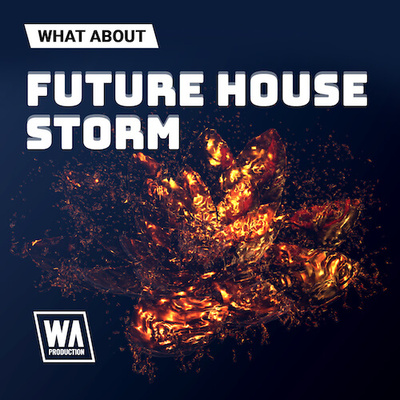 What About: Future House Storm
