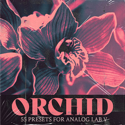 Orchid [Arturia Analog Lab Bank]