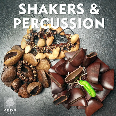Shakers and Percussion