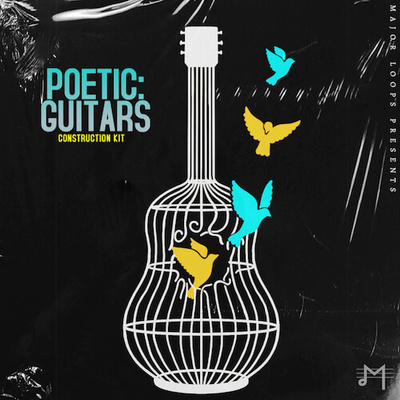 Poetic: Guitars