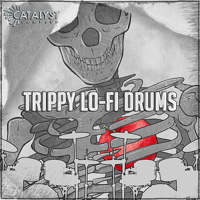 Trippy Lo-Fi Drums