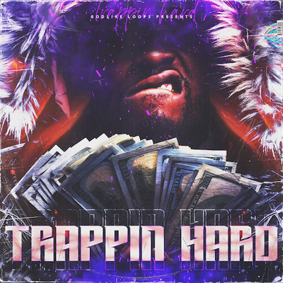Trappin Hard