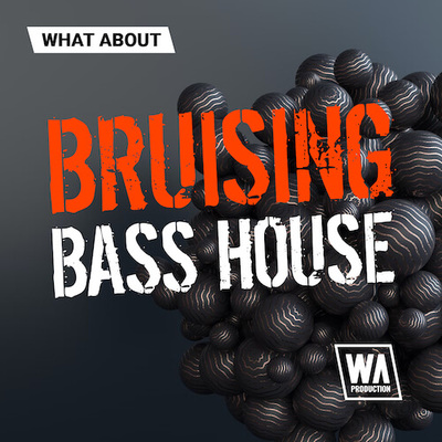 What About: Bruising Bass House