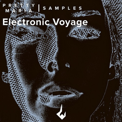 Electronic Voyage