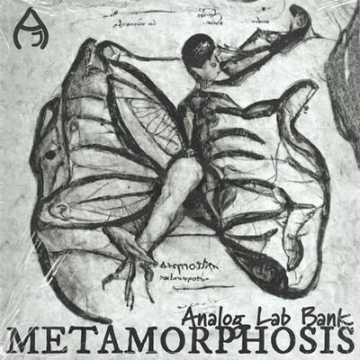 Metamorphosis for Arturia Analog Lab