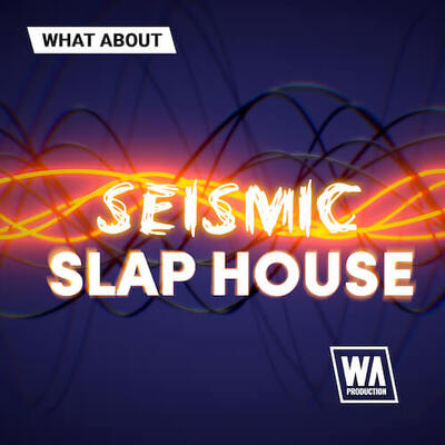 What About: Seismic Slap House