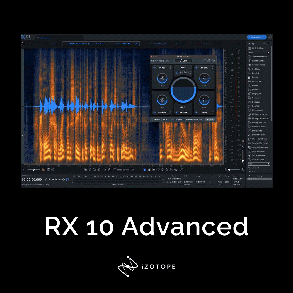RX 10 Advanced