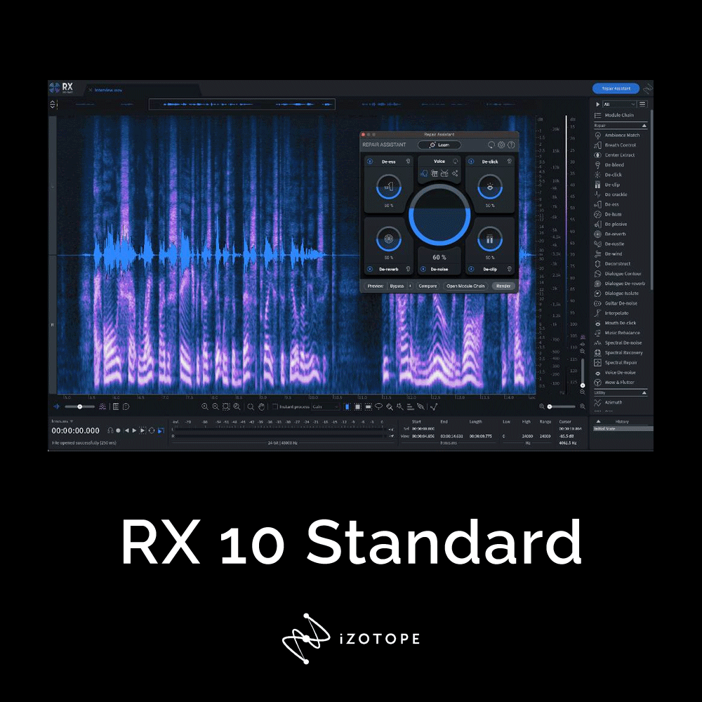 RX 10 Standard