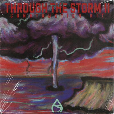 Through The Storm II
