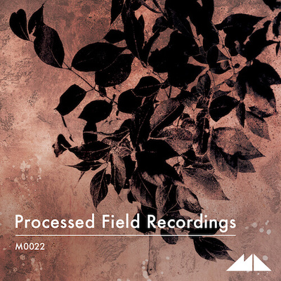 Processed Field Recordings