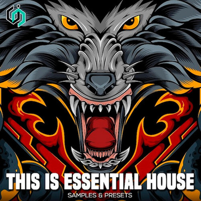 This Is Essential House