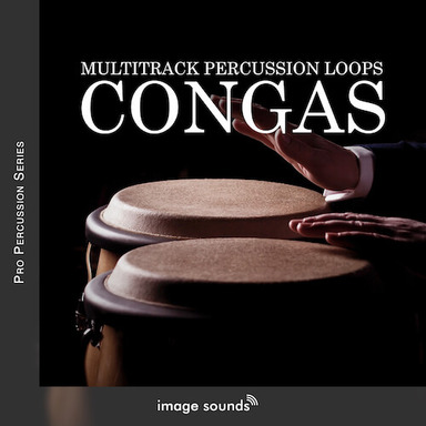 Low-Cost Professional Percussion Loops