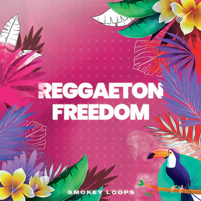 Reggaeton Freedom