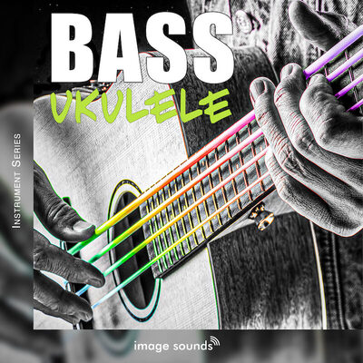 Bass Ukulele