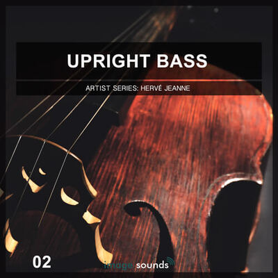 Upright Bass 2