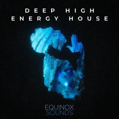 Deep High Energy House