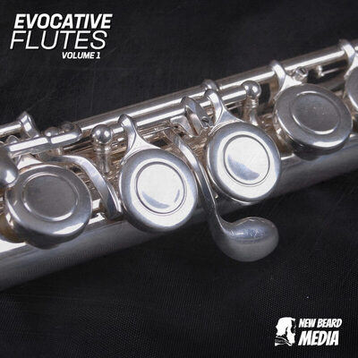 Evocative Flutes Vol 1